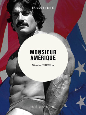 cover image of MONSIEUR AMERIQUE